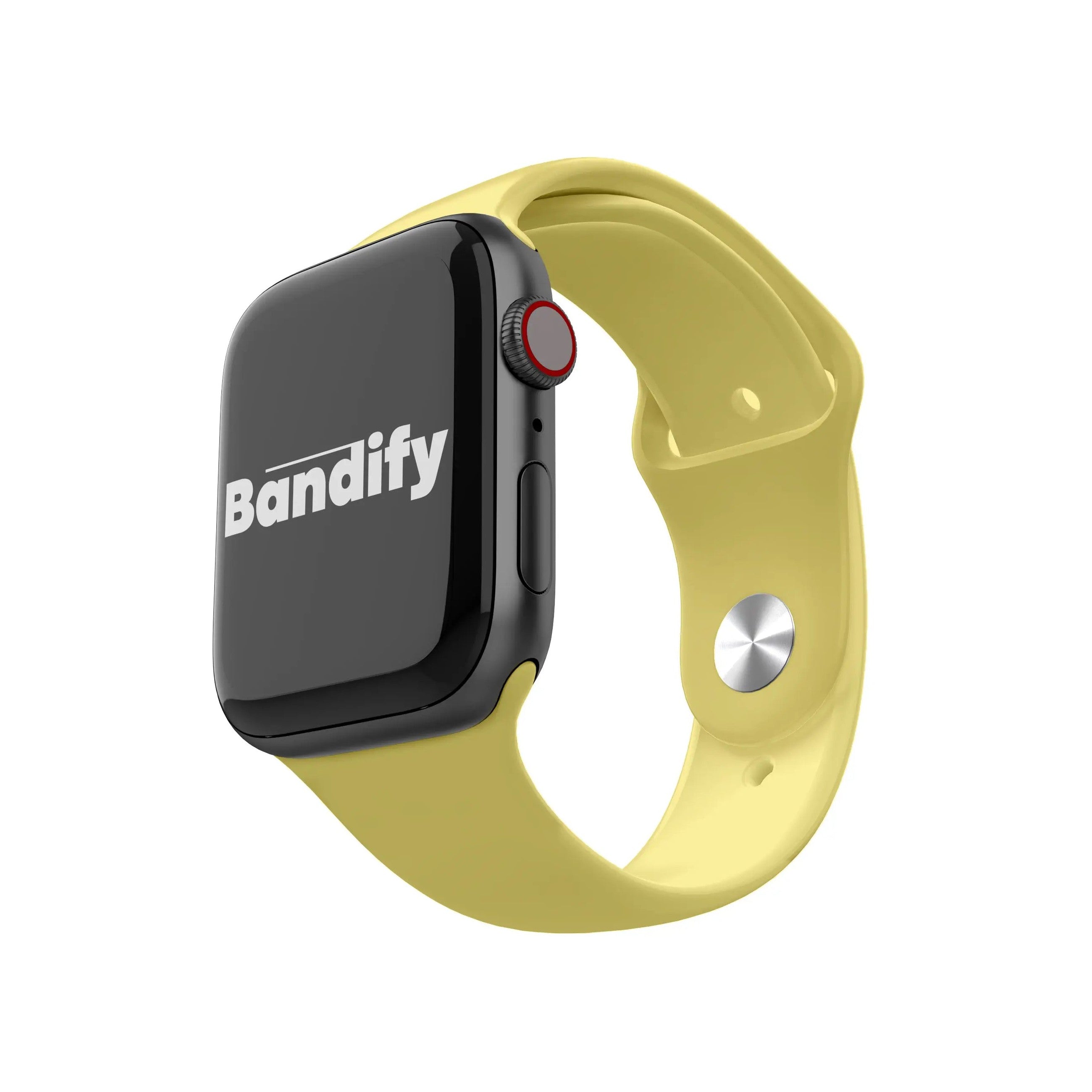 Sport Band | Wild Rice Bandify